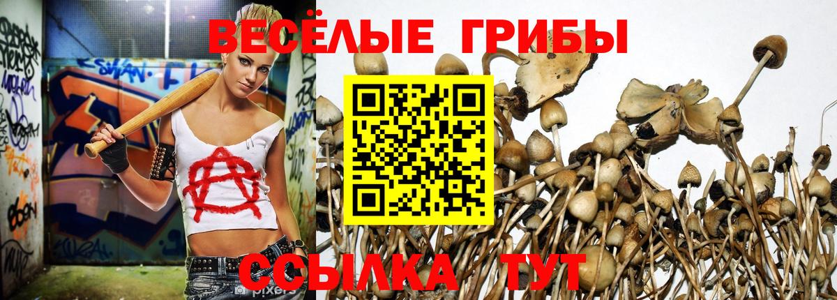 Белово  Псилоцибиновые грибы MAGIC MUSHROOMS  Вход с VPN 