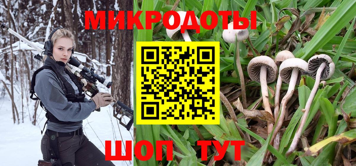 Галлюциногенные грибы Psilocybine cubensis Белово